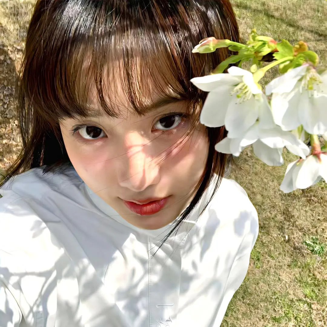 飞吧,冰上之光